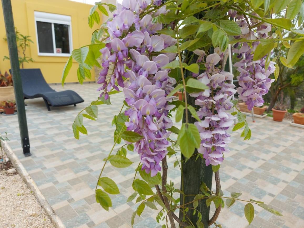 Grieks Vakantiehuis To Kalokairi Kougaíika Exterior foto