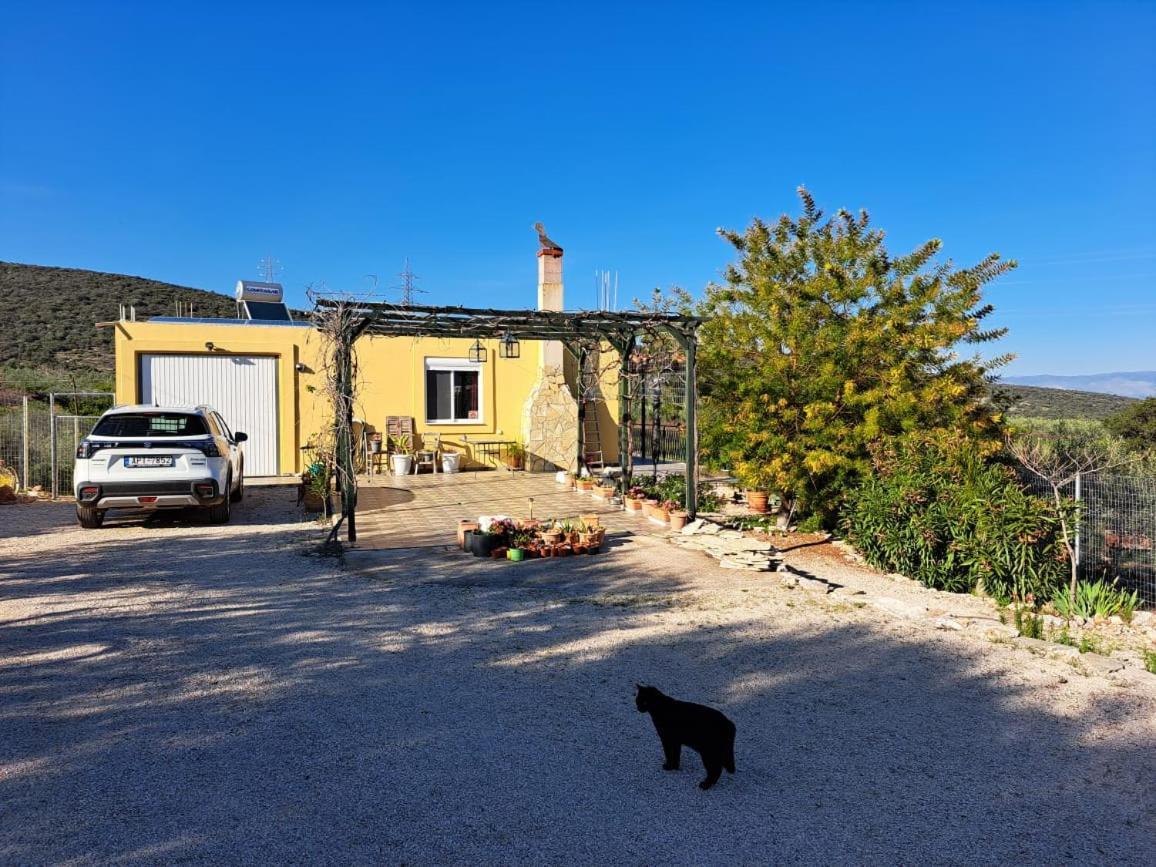 Grieks Vakantiehuis To Kalokairi Kougaíika Exterior foto