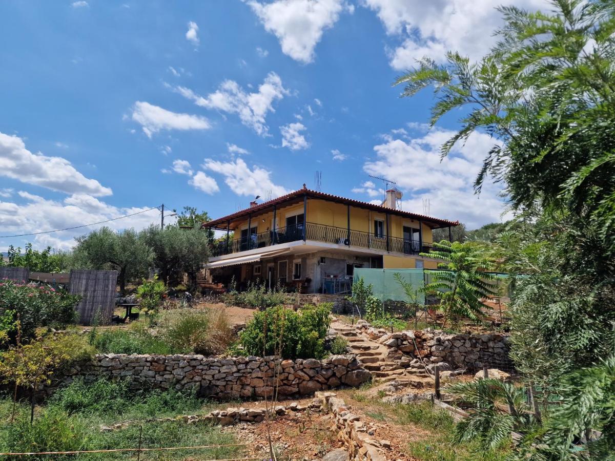 Grieks Vakantiehuis To Kalokairi Kougaíika Exterior foto